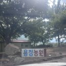 용정 | 대구근교 평상대여 물놀이 "창녕 용정농원" 다녀온 후기