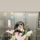 강남꽃 - 춘천시 춘주로 101 | 강남꽃