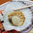 조개나루터 이미지