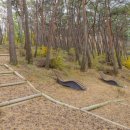 마니산로 이미지