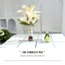 카라 | [구미 부케말리기 액자] 신부님이 맡겨주신 카라 부케 후기