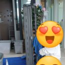 마이클린 이미지