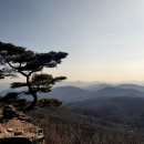 약사산 이미지
