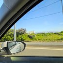 안덕면 상창 신남밭 | 제주도 2박 3일-② / 제주올패스 브이패스 24시간 후기_제트보트 짱구스토어 고기국수 오설록 숙소 추천