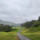 백석골