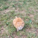 GS25대공원리프트점 | 과천 서울대공원 방문 리뷰 : 25년차 경기도인의 서울대공원 산책 꿀정보글 벚꽃, 산책로, 주차까지 다...