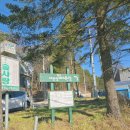 목장 | 강원도 평창 대관령 양떼목장 후기 - 요금, 먹이 주기, 주차, 꿀팁