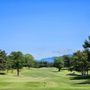 노송골프 이미지