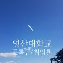 영산대학교(해운대) 부동산대학원 | 2025. 영산대학교, 영산대 등록금 순위, 장학금, 취업률, 신입생 경쟁률 순위 현황 !!!