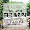 피콕빌리지 펜션 | 피콕 빌리지_강원도 홍천 계곡 카페, 계곡 펜션
