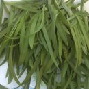 태현농장 이미지