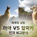 라마 이미지