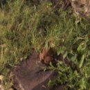 드림게임장 이미지