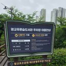 광교 푸른숲도서관 | 숲 속에 있는 것 같은 도서관 주차 정보 - 광교푸른숲도서관