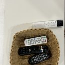 스테이-오롯 | [강릉] 에어비엔비 감성 있는 독채펜션 ‘오롯이스테이’ 강릉 숙소 추천 후기
