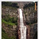 도심의 쉼터 이미지