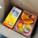 도시락담다 이미지