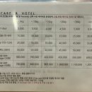 도그아일랜드 이미지