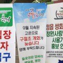 정읍 구절초 꽃축제 기본 정보 개화 상태와 먹거리 후기 / 불편했던 2주차장