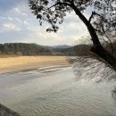 행복을다리는집 | 영주 무섬마을 외나무다리 겨울 방문 후기 | 주차위치, 산책코스