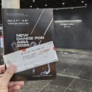 Bravo My Body 발레 | 250808 제14회 NDA 국제 무용 페스티벌 - Asian Contemporary Dance Series