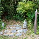 향로산 약수터 이미지