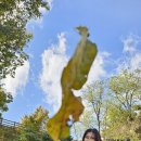 백제문화체험박물관 이미지