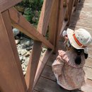 오음초등학교병설유치원 이미지