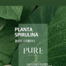 더 스킨 피부관리