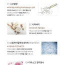 젠틀핑크 이미지