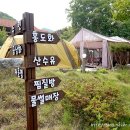 홍천해당화 이미지