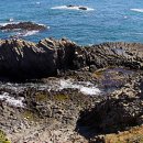 양남주상절리 이미지