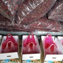 옥전농장 이미지