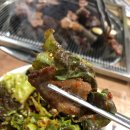 동백아나고 이미지