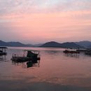 진동돌장어 이미지