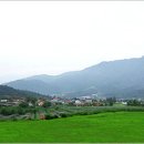 생태숲민박 이미지