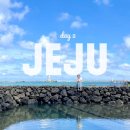 8월, 제주도 첫 뚜벅이 혼자 여행 둘째날 : 쏘카 렌트, 금오름 일출, 제주머슴네 전복김밥, 트립백...