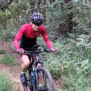 성안장수원 이미지