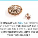 양파 효능 칼로리 양파의효능 양파즙 부작용 이미지