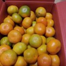 양희농장 이미지