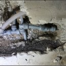 평화의집 화장실 이미지