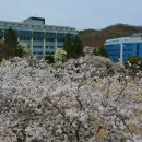 신창면 순천향로 이미지