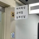 눈부신날 뷰티