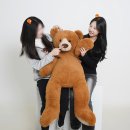 대포해송 | 제주도 횟집 맛집 가볼만한곳 현지 가성비 여행 코스 추천 6곳