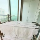 제왕세탁 이미지