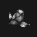 주식회사 토모 이미지