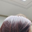 모즈토리전북대점 이미지