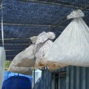 천지인농장 이미지