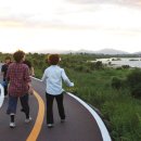 덕풍천 산책로 이미지