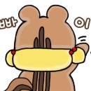 솔라프론트 이미지